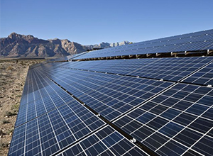 印度太阳能公司投标950兆瓦太阳能项目