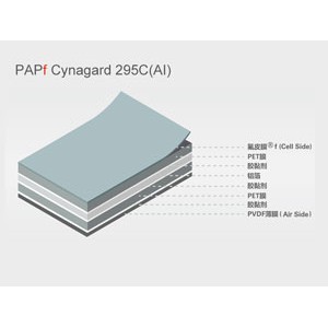 含铝背板 Cynagard 295C(AI)-- 赛伍应用技术有限公司