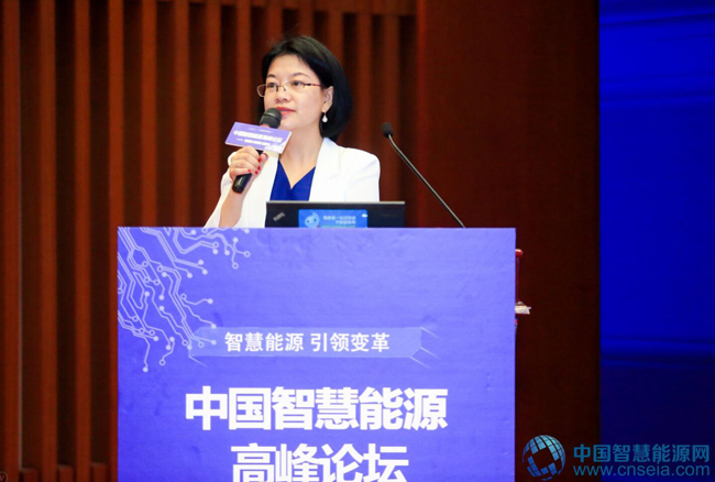 中国智慧能源网上线发布创始人李何燕女士致辞