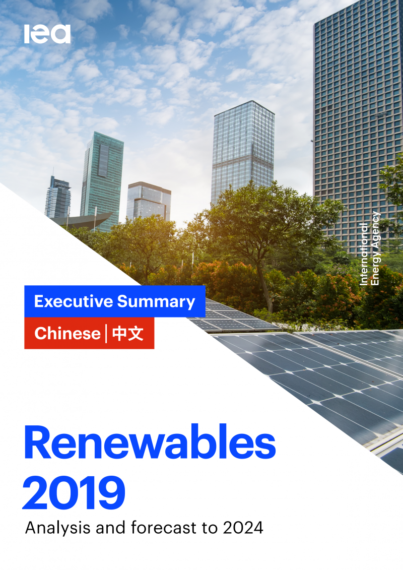 Chinese-Renewables-2019-ES_00