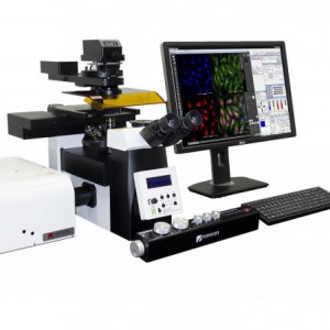 K1-Fluo 激光荧光共聚焦显微镜-- 泰州新飞光电有限公司