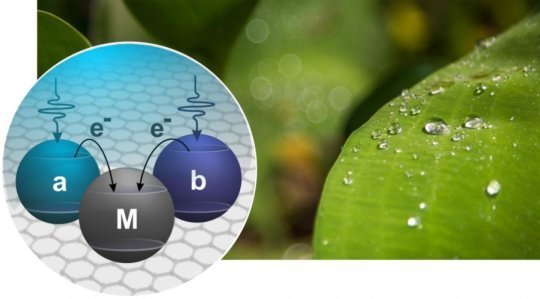 清洁能源新进展：可以通过植物的光合作用，提高光伏电池的能源转换率