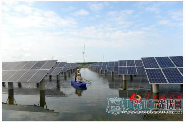 国网海安供电员工乘船巡检江苏海东光伏35兆瓦渔光互补项目。