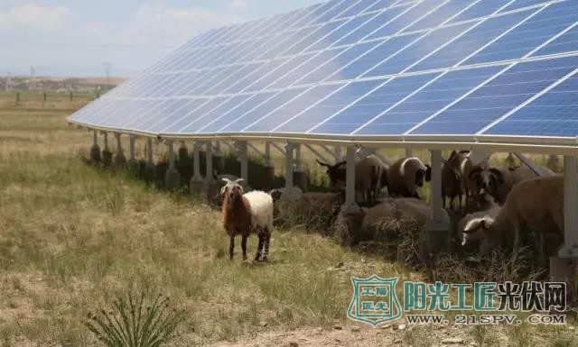 大草原上的太阳能发电综合技术实证试验基地