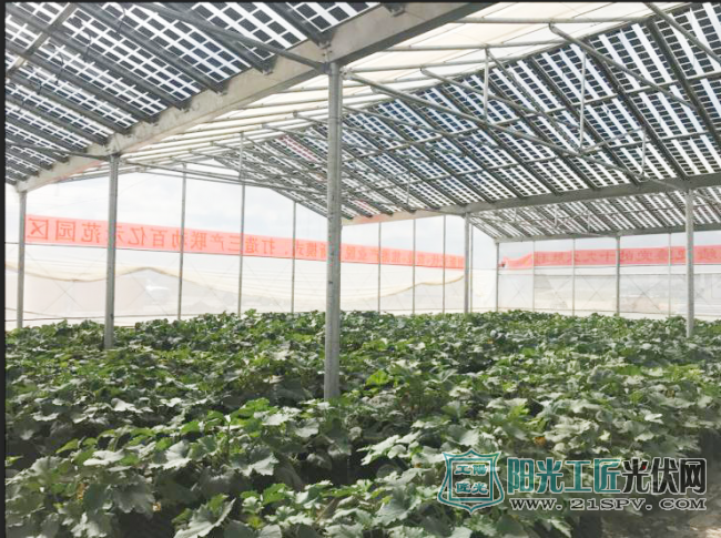 图为“光伏+生态设施农业”大棚。屋顶采用光伏板,可以发电,屋内是生态农业