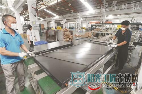 位于万江的广东五星太阳能股份有限公司生产线 本报资料图片 郑志波 摄