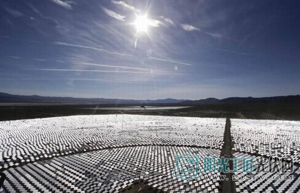 世界最大太阳能电站成死亡禁区：烤焦飞鸟