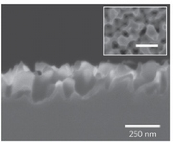 黑硅材料纳米表面结构截面SEM图像
