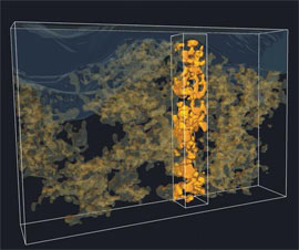 跨学科研究小组利用3D图象来呈现聚合物光伏电池内部结构