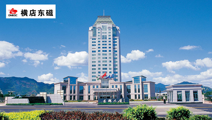 横店集团东磁股份有限公司